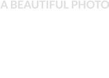A BEAUTIFUL PHOTO
